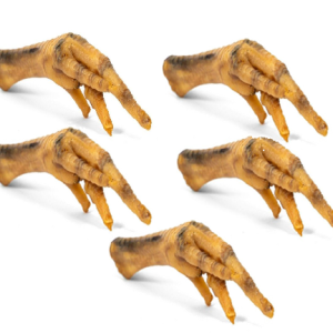 Patas de pollo deshidratadas para perros, pack de 5 unidades.